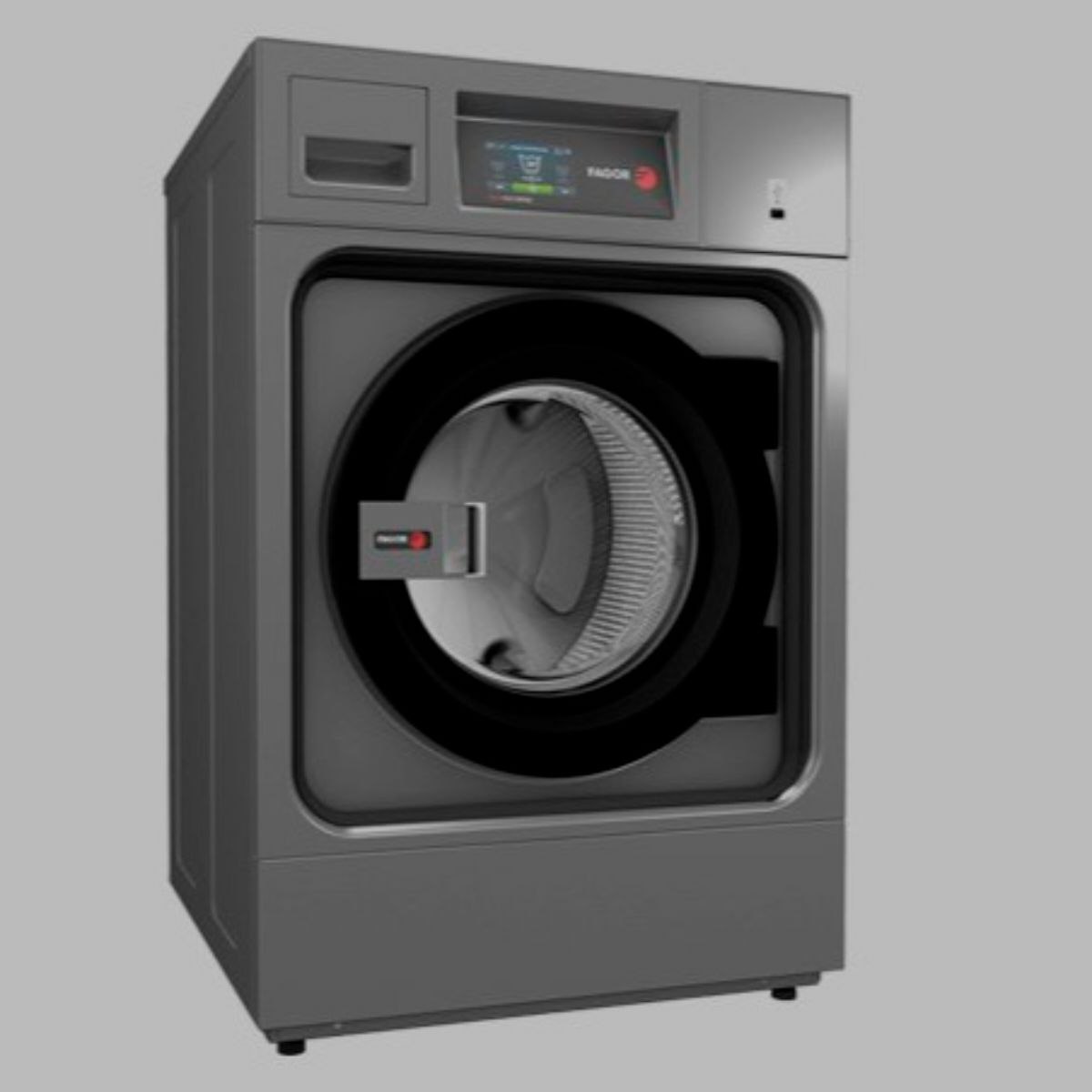 Lavatrice Profesionale